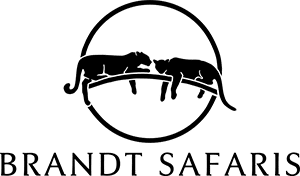 BRANDT SAFARIS footer logo