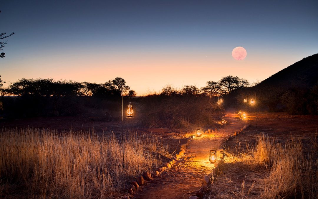 What to Expect on Your First African Safari: A Beginner’s Guide